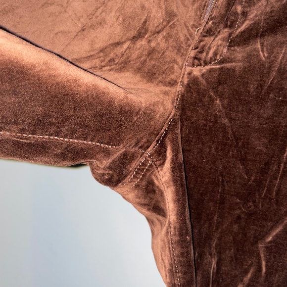 EUC Anthropologie Pilcro & the Letterpress Velvet Velour Ankle Pants Size 31 - Picture 3 of 8